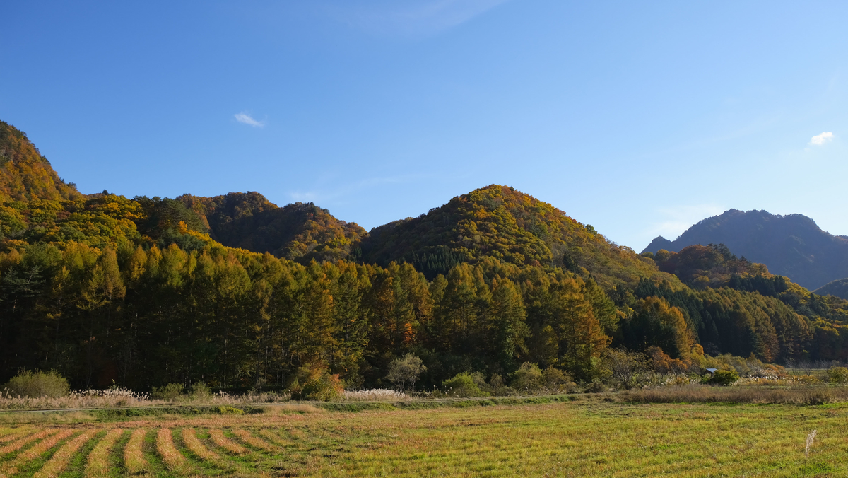 f:id:MotoPhoto94:20211031204852j:plain