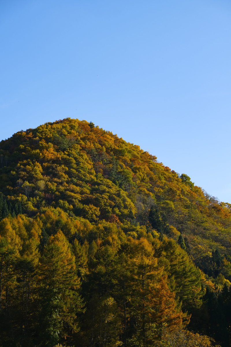 f:id:MotoPhoto94:20211031204906j:plain