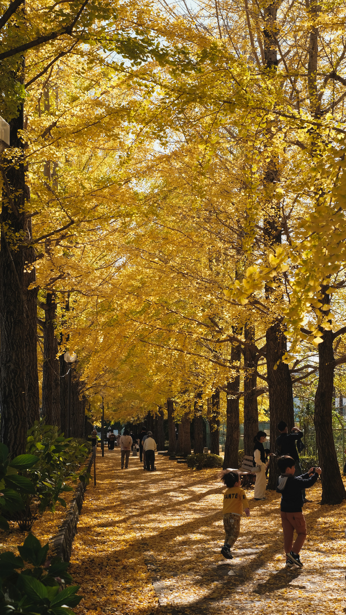 f:id:MotoPhoto94:20211122201304j:plain