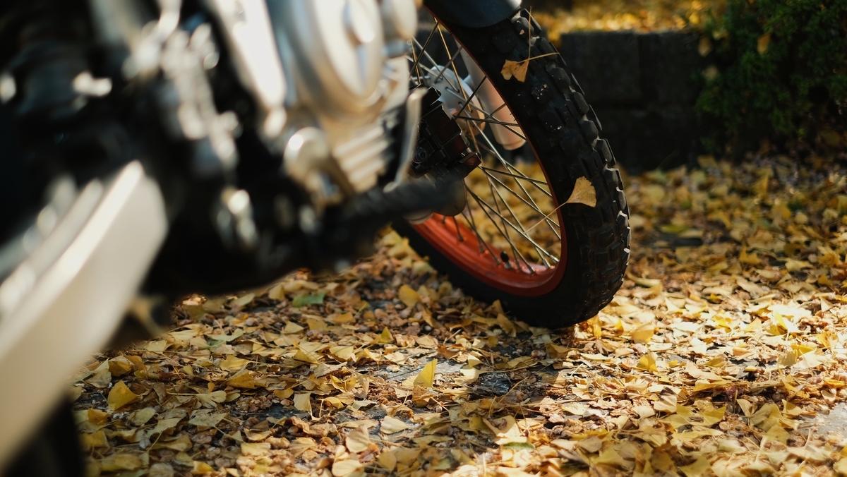 f:id:MotoPhoto94:20211122201327j:plain