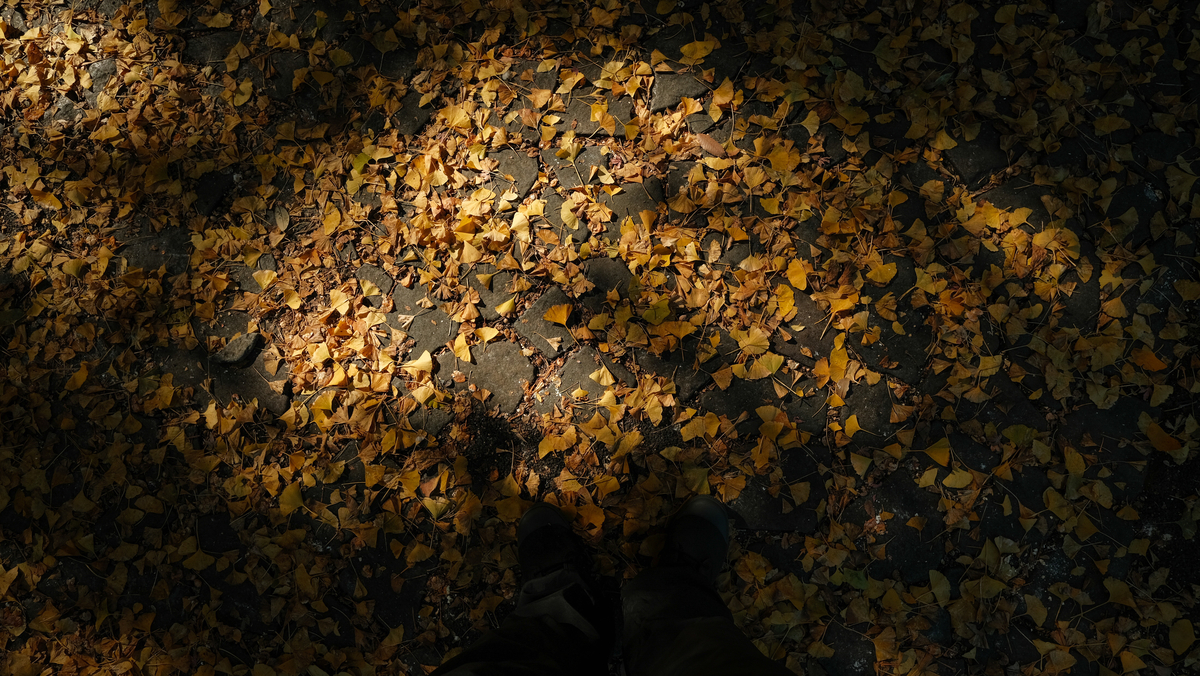 f:id:MotoPhoto94:20211122201446j:plain