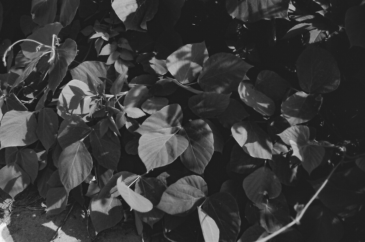 f:id:MotoPhoto94:20211122210502j:plain