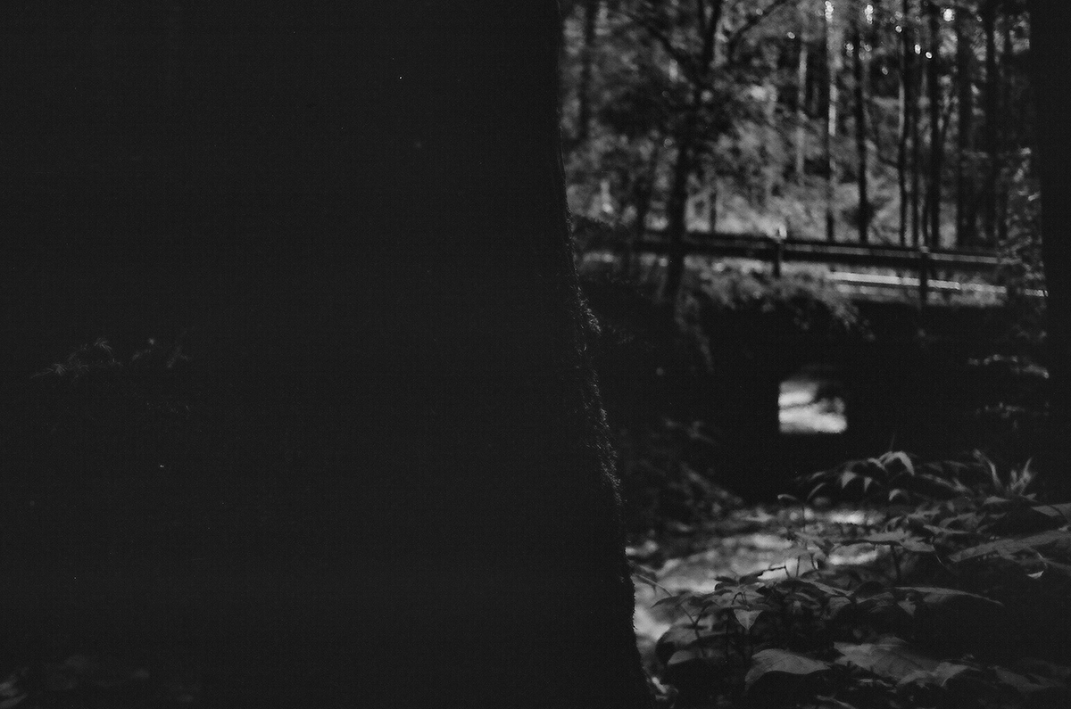 f:id:MotoPhoto94:20211122210522j:plain