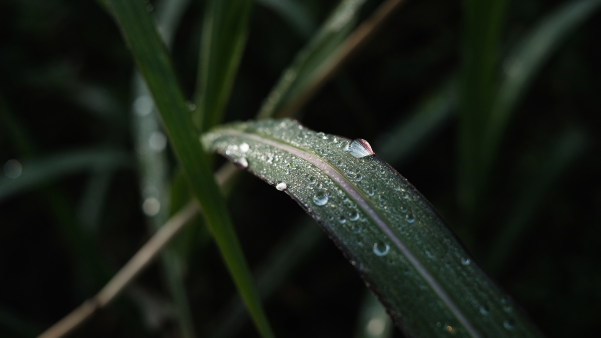 f:id:MotoPhoto94:20211231164319j:plain