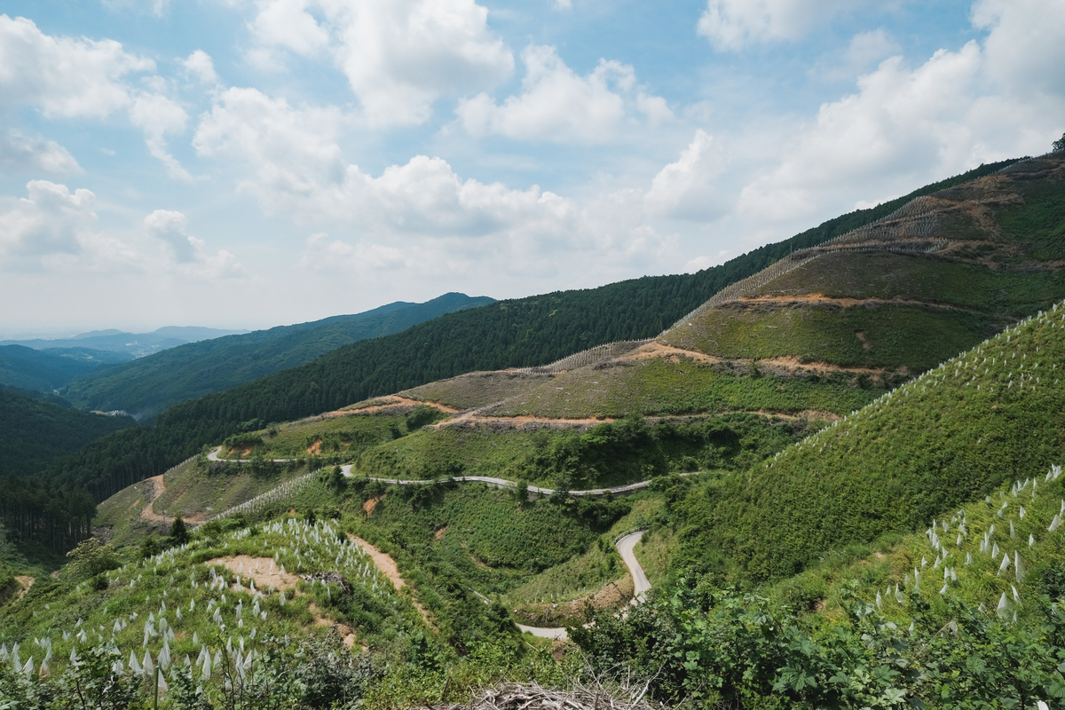 f:id:MotoPhoto94:20211231164333j:plain