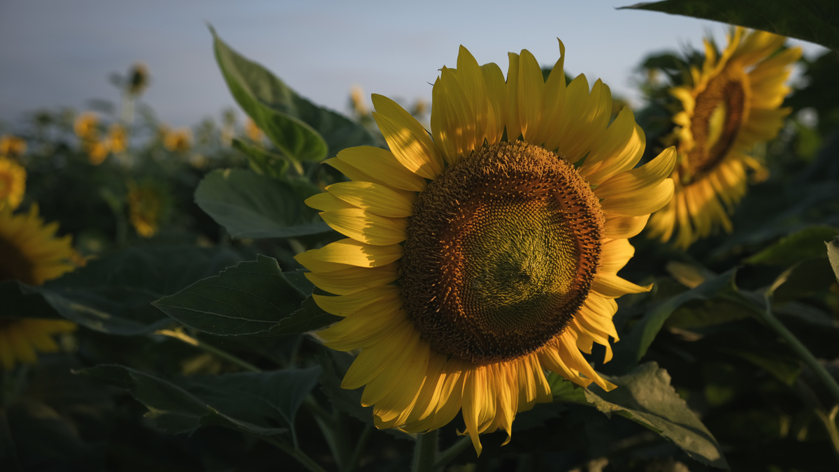 f:id:MotoPhoto94:20211231164530j:plain