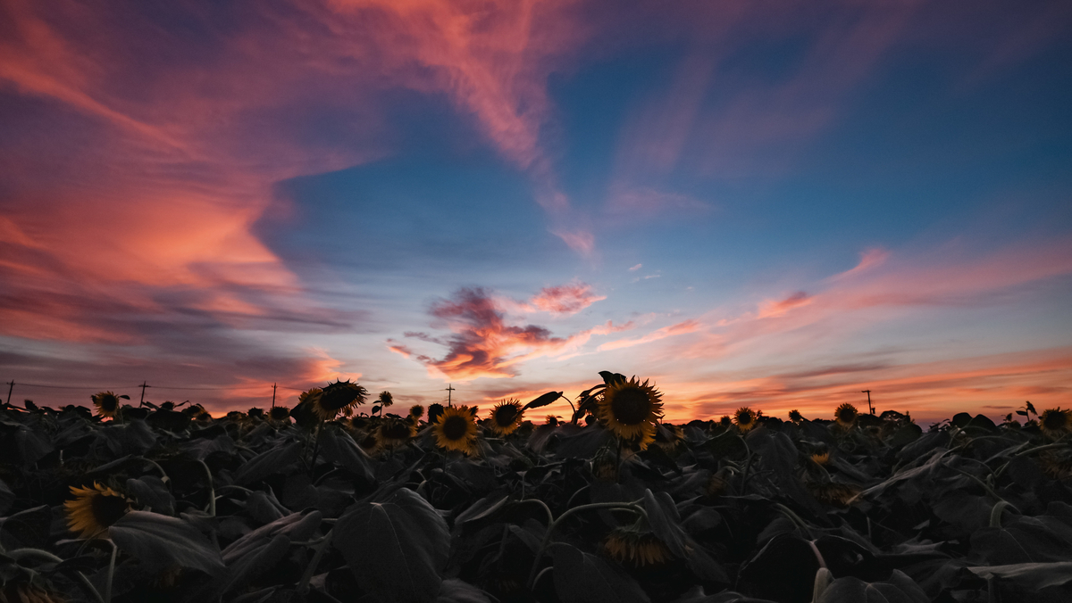 f:id:MotoPhoto94:20211231164541j:plain