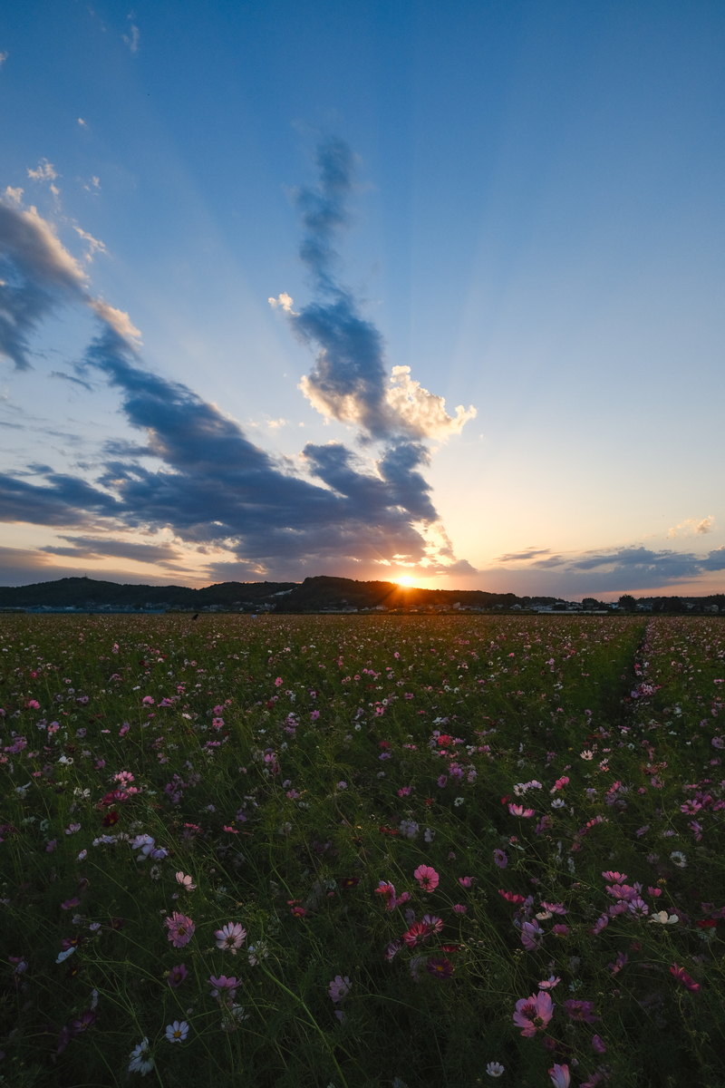 f:id:MotoPhoto94:20211231164628j:plain