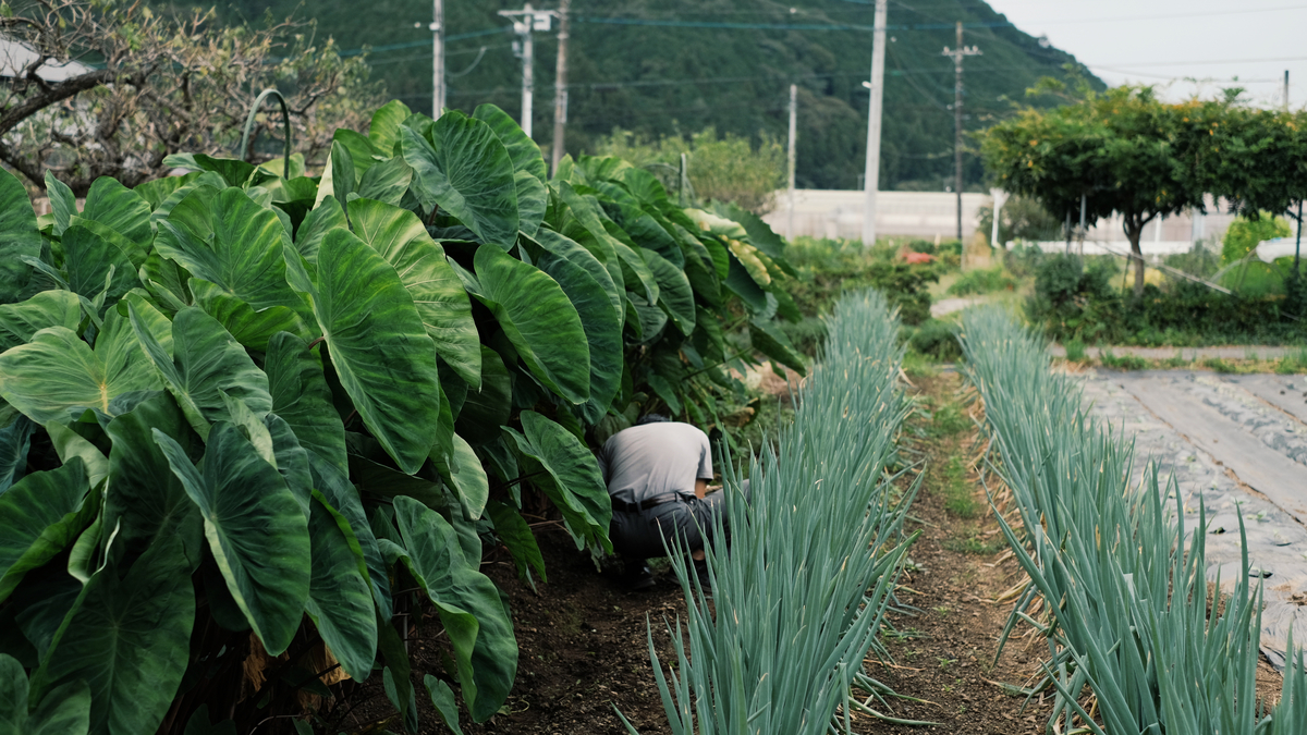 f:id:MotoPhoto94:20211231170602j:plain