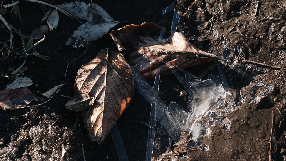 f:id:MotoPhoto94:20211231170734j:plain