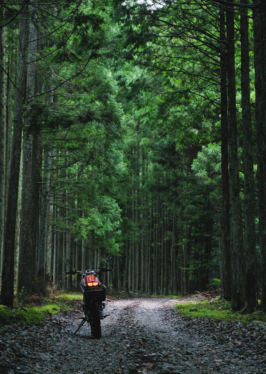 f:id:MotoPhoto94:20211231171638j:plain