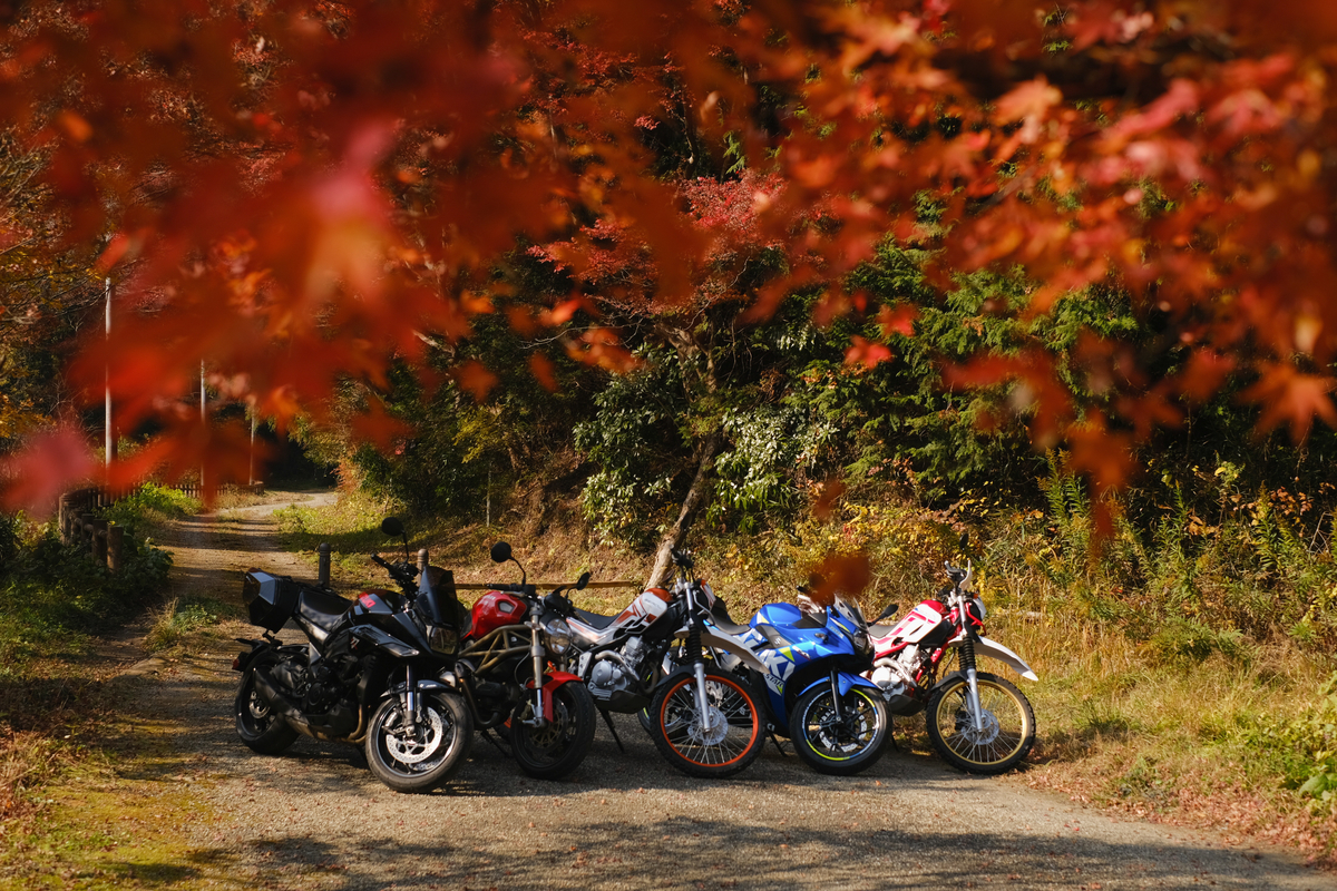 f:id:MotoPhoto94:20211231183319j:plain