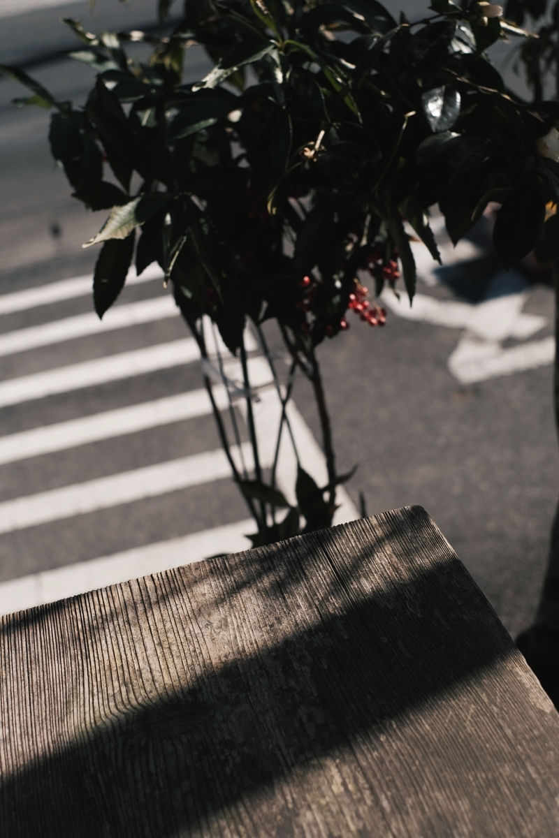 f:id:MotoPhoto94:20220131230655j:plain