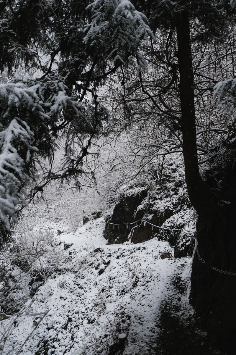 f:id:MotoPhoto94:20220211133738j:plain