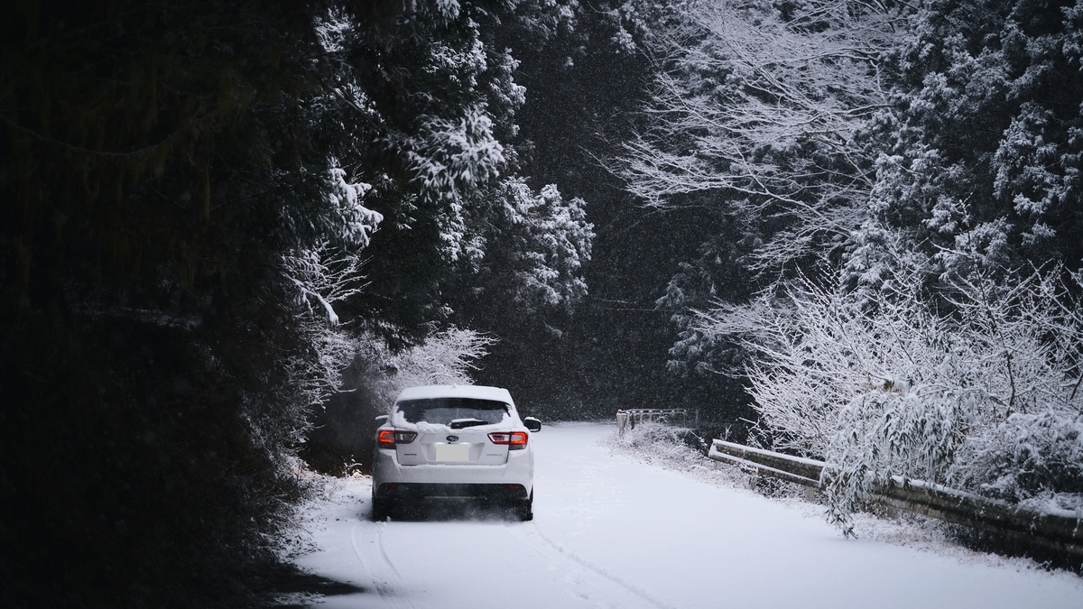 f:id:MotoPhoto94:20220211133837j:plain