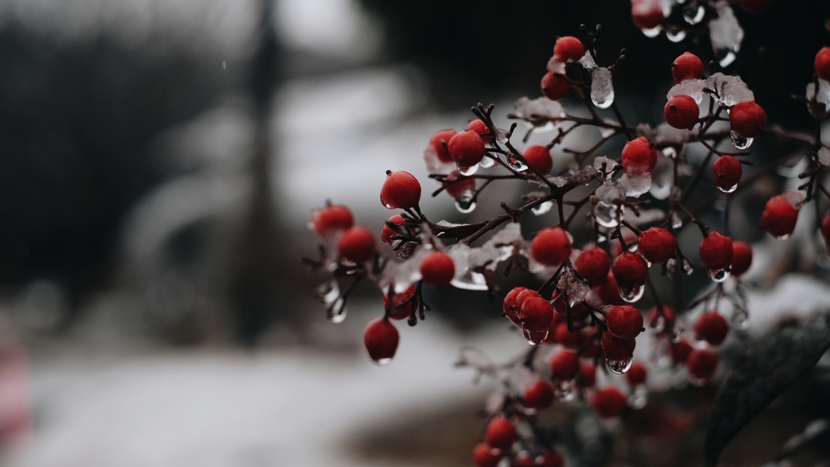 f:id:MotoPhoto94:20220211133912j:plain