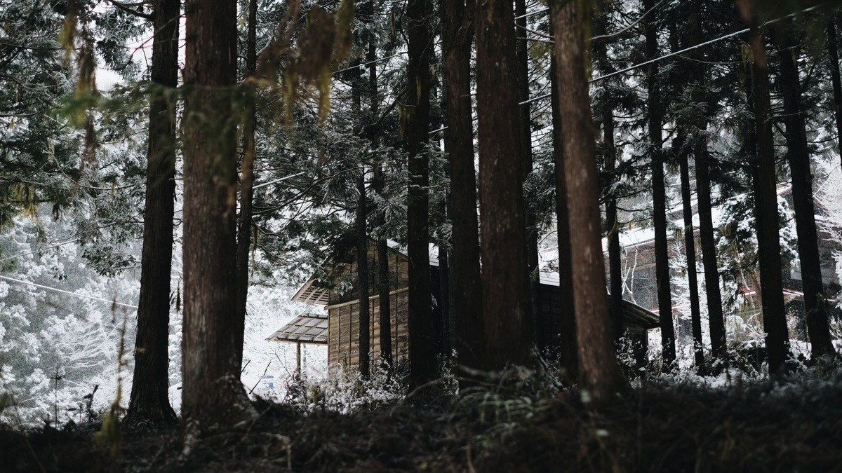 f:id:MotoPhoto94:20220211133920j:plain