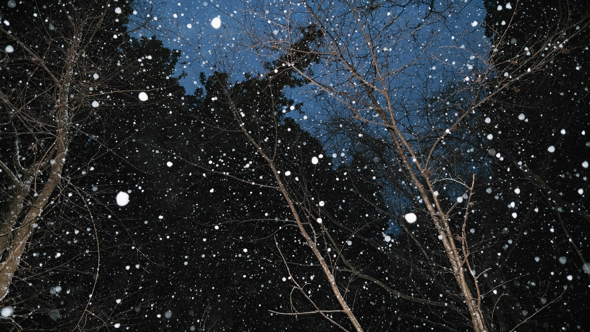 f:id:MotoPhoto94:20220211133937j:plain