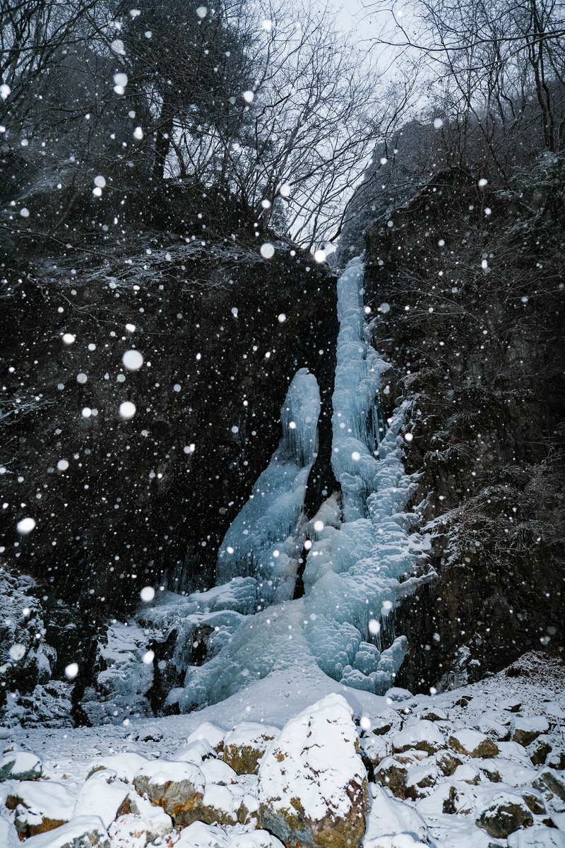 f:id:MotoPhoto94:20220211133945j:plain