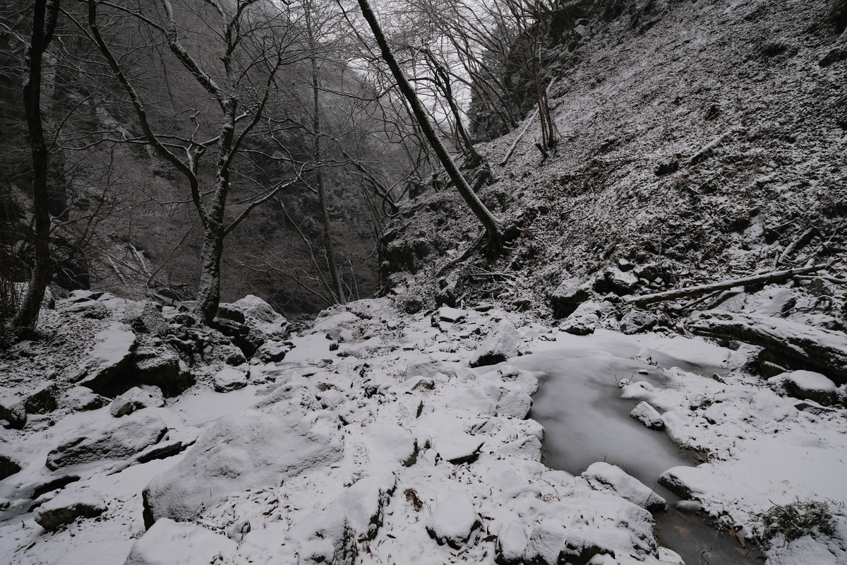 f:id:MotoPhoto94:20220211134005j:plain