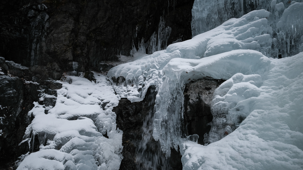 f:id:MotoPhoto94:20220211134022j:plain