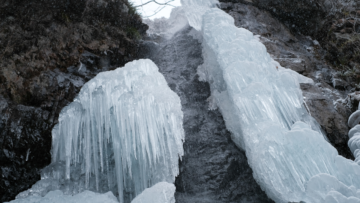 f:id:MotoPhoto94:20220211134030j:plain