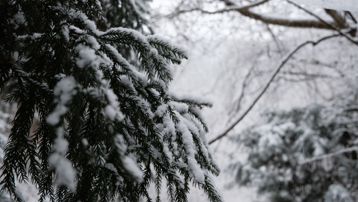 f:id:MotoPhoto94:20220211134045j:plain