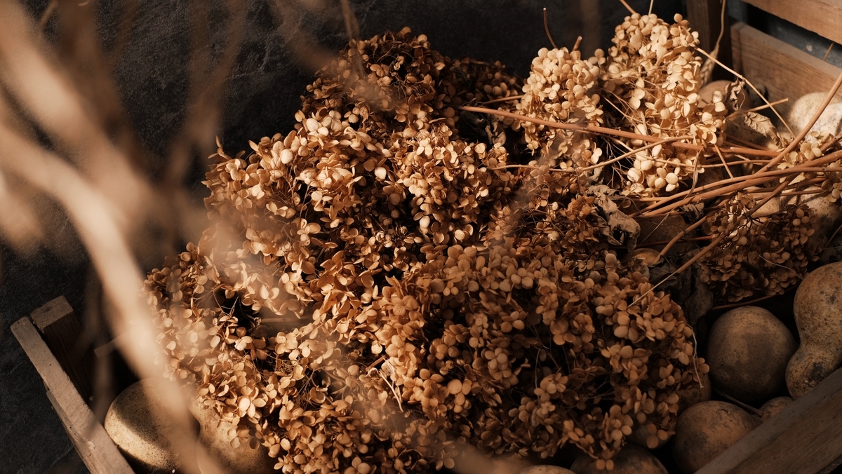 f:id:MotoPhoto94:20220313183316j:plain