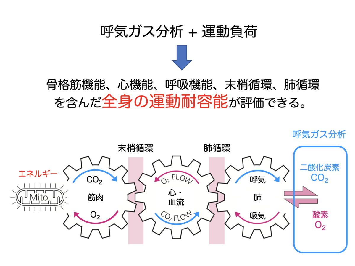 f:id:Mountain-Kuma:20200301154657p:plain f:id:Mountain-Kuma:20200301154657p:plain