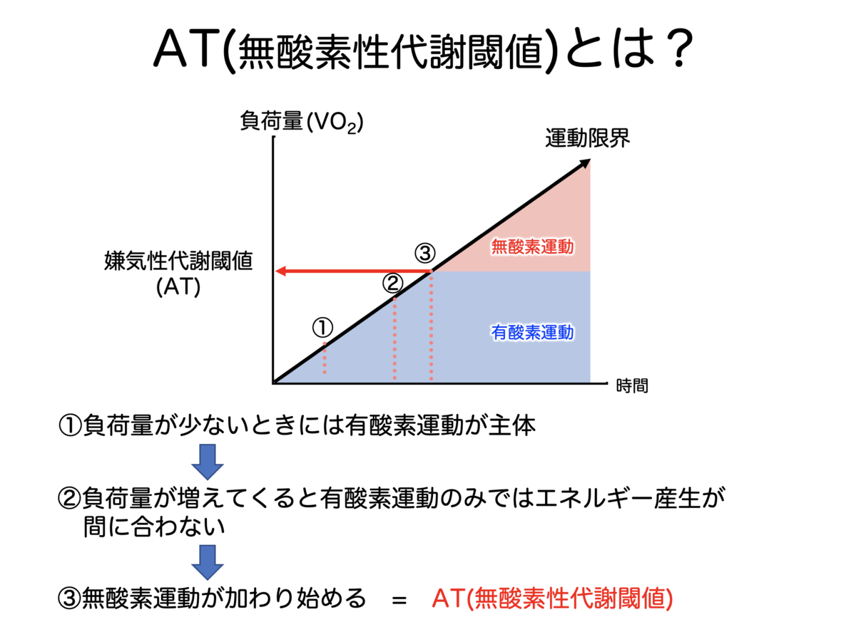 f:id:Mountain-Kuma:20200301160255p:plain f:id:Mountain-Kuma:20200301160255p:plain