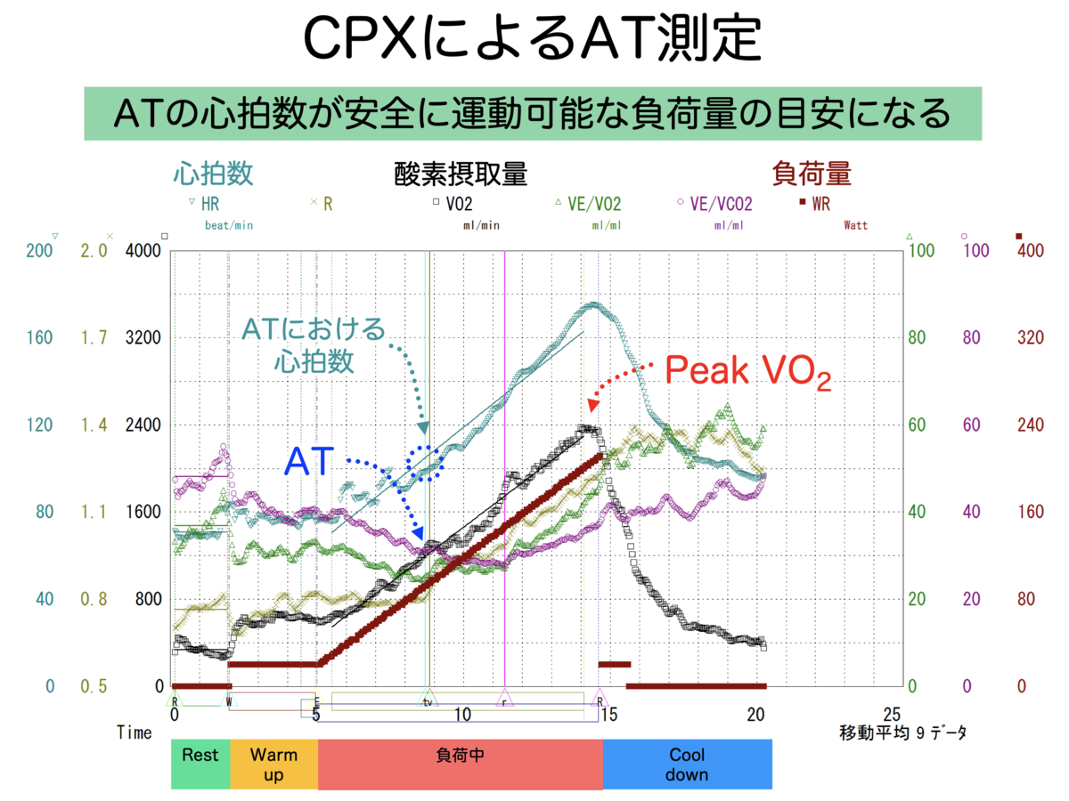 f:id:Mountain-Kuma:20200305232004p:plain f:id:Mountain-Kuma:20200305232004p:plain