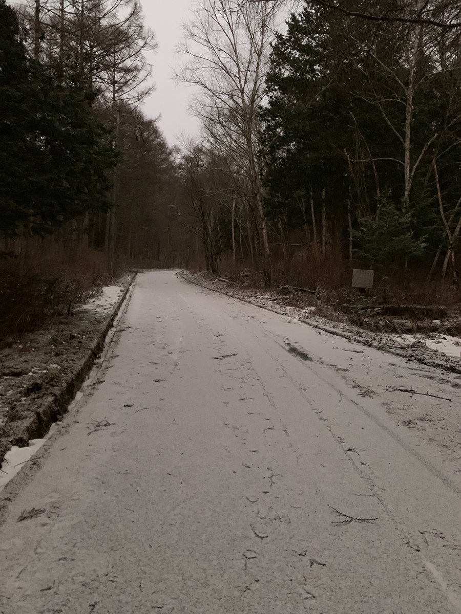 f:id:Mountain-Kuma:20200323202515j:plain f:id:Mountain-Kuma:20200323202515j:plain