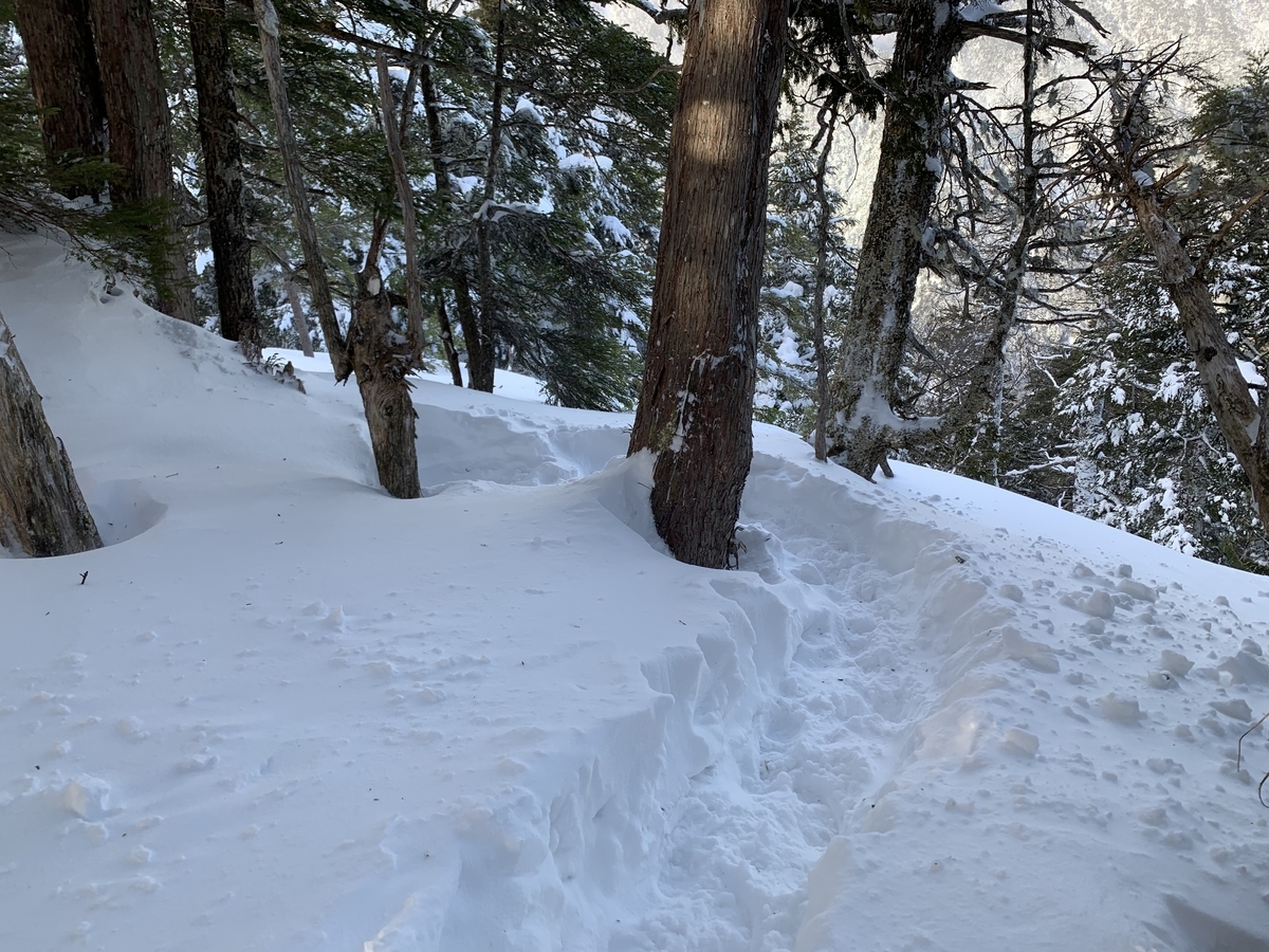f:id:Mountain-Kuma:20200323203927j:plain f:id:Mountain-Kuma:20200323203927j:plain