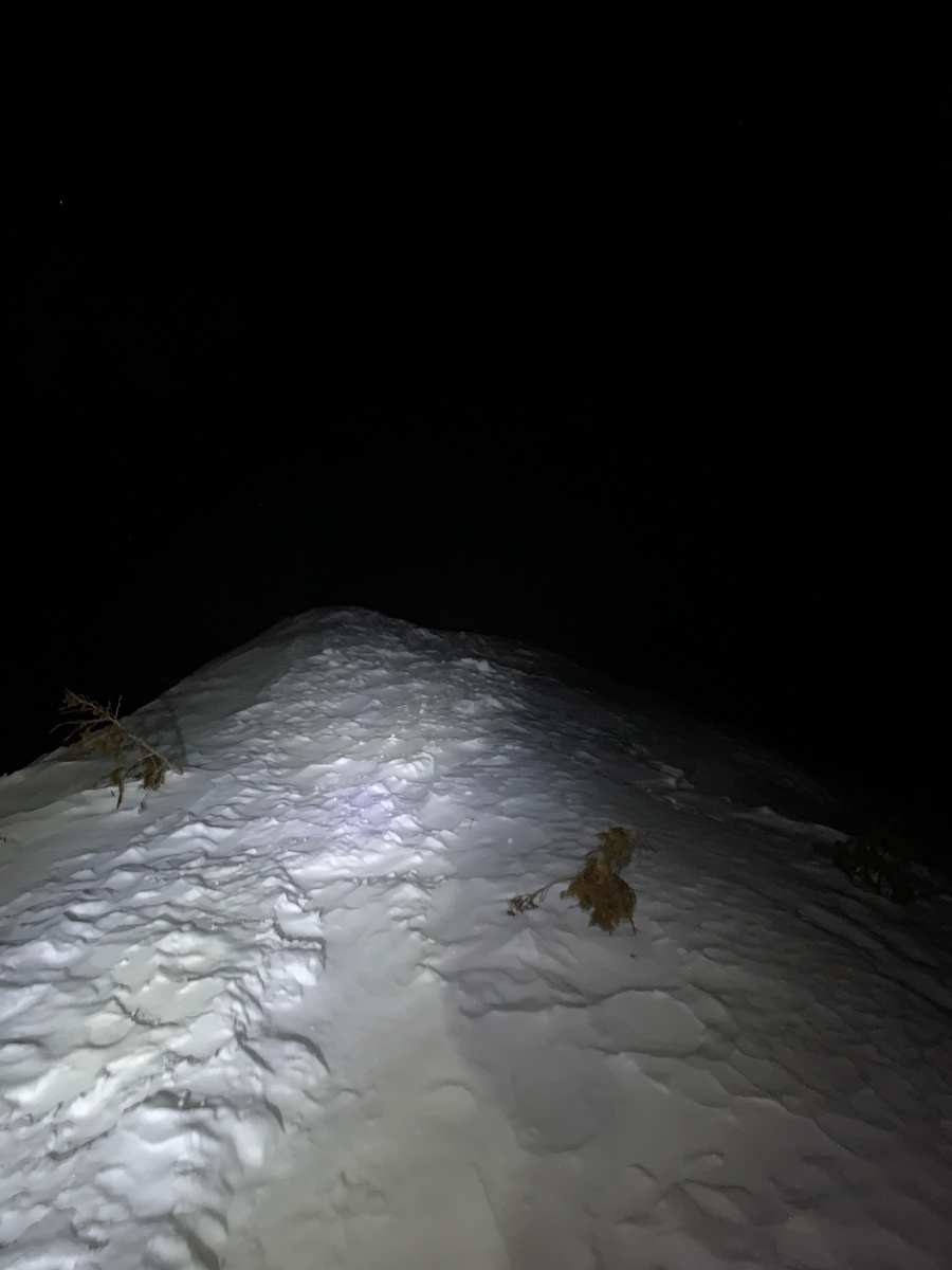 f:id:Mountain-Kuma:20200323203944j:plain f:id:Mountain-Kuma:20200323203944j:plain