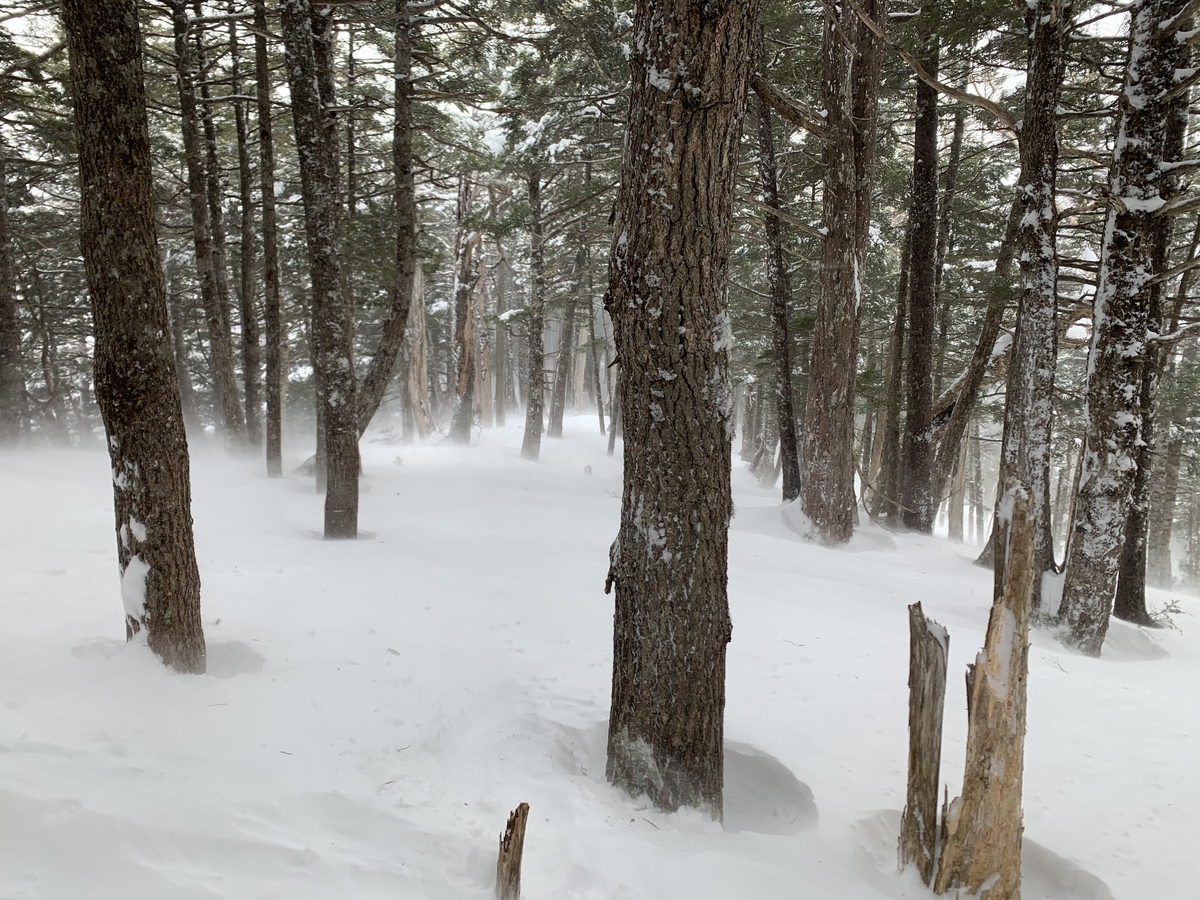 f:id:Mountain-Kuma:20200323204706j:plain f:id:Mountain-Kuma:20200323204706j:plain