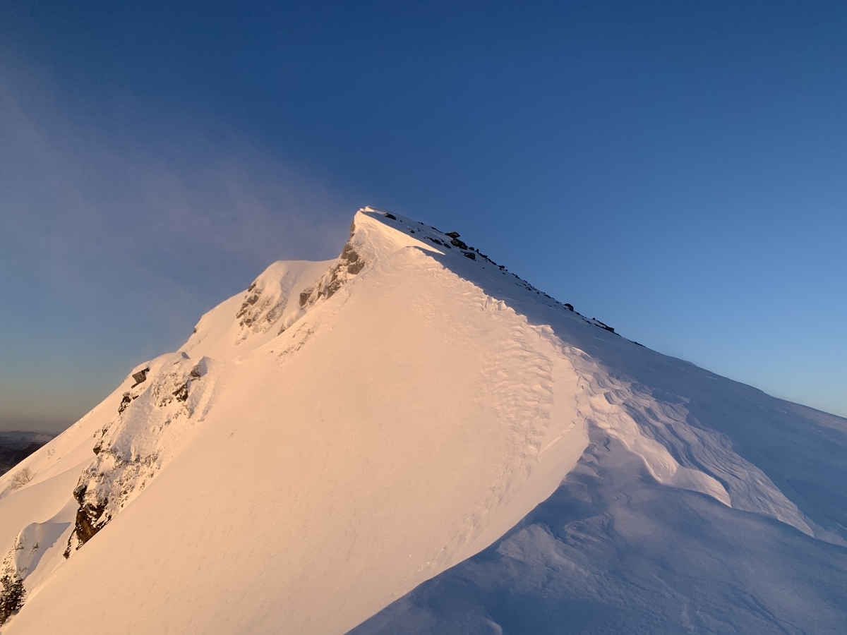 f:id:Mountain-Kuma:20200323210731j:plain f:id:Mountain-Kuma:20200323210731j:plain