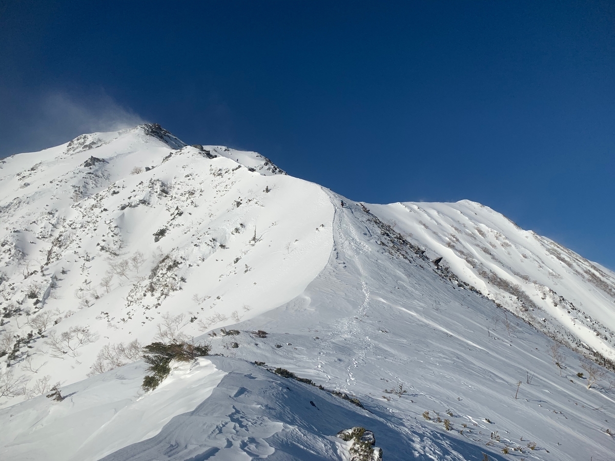 f:id:Mountain-Kuma:20200323211445j:plain f:id:Mountain-Kuma:20200323211445j:plain