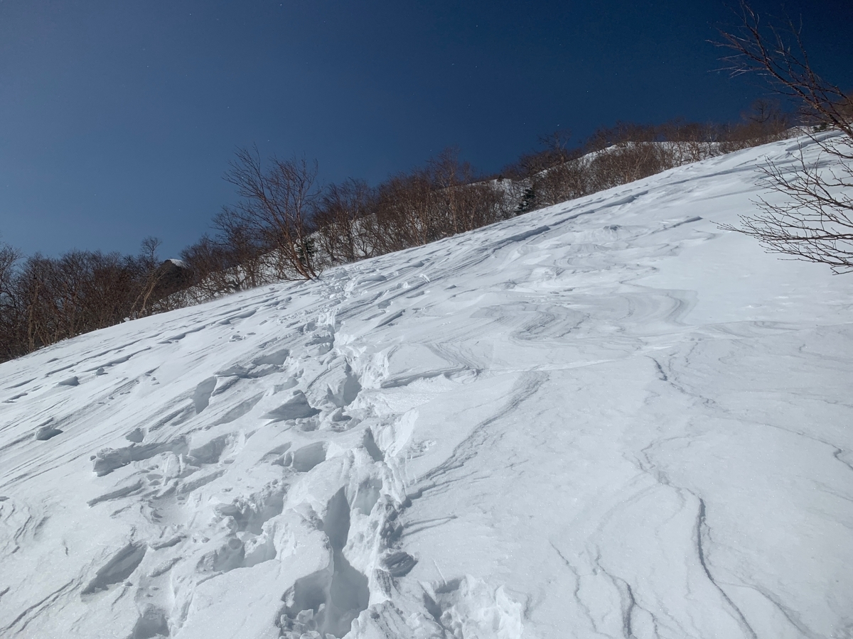 f:id:Mountain-Kuma:20200427161555j:plain f:id:Mountain-Kuma:20200427161555j:plain