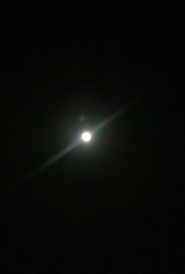 f:id:Mouse:20110320015406j:image