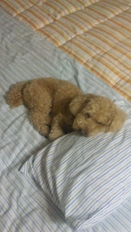 イメージ 2