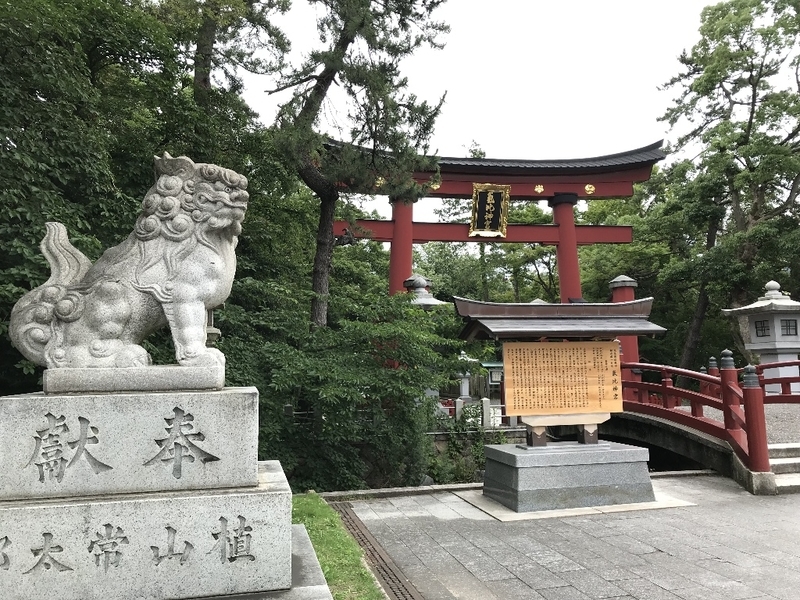 イメージ 14