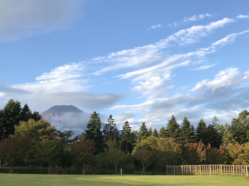イメージ 8