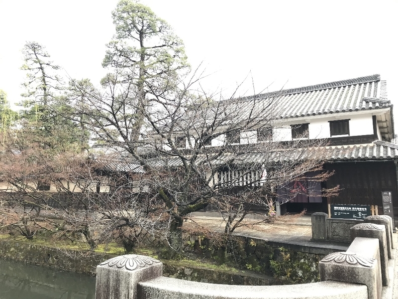 イメージ 7