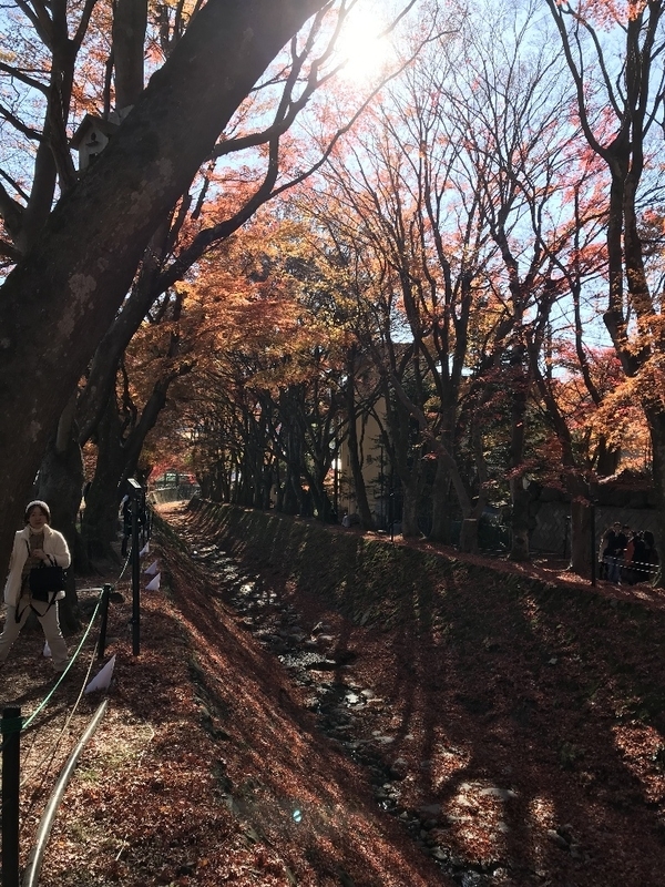 イメージ 7