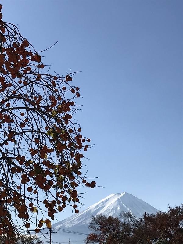 イメージ 8