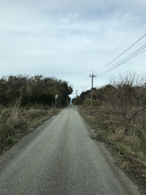 イメージ 5