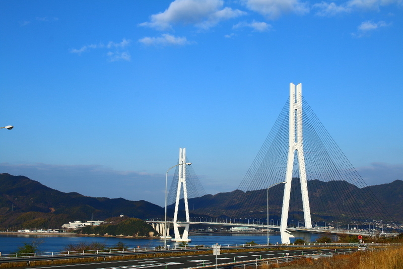 イメージ 5