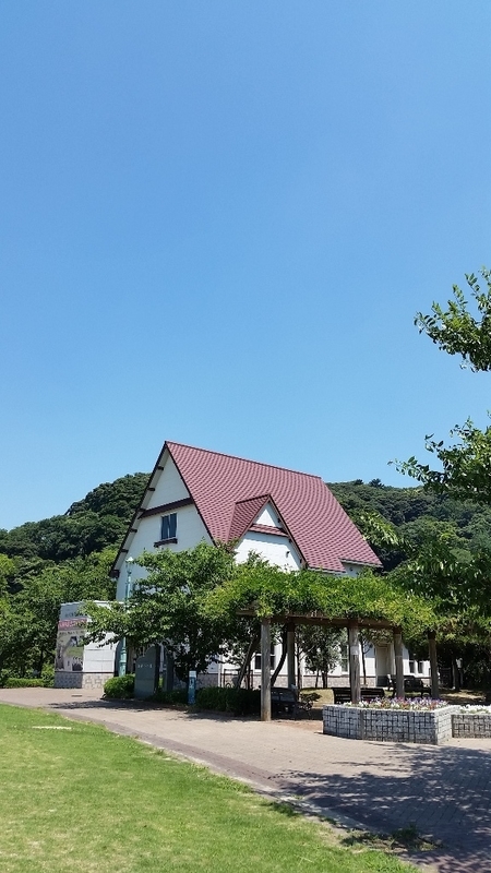 イメージ 6