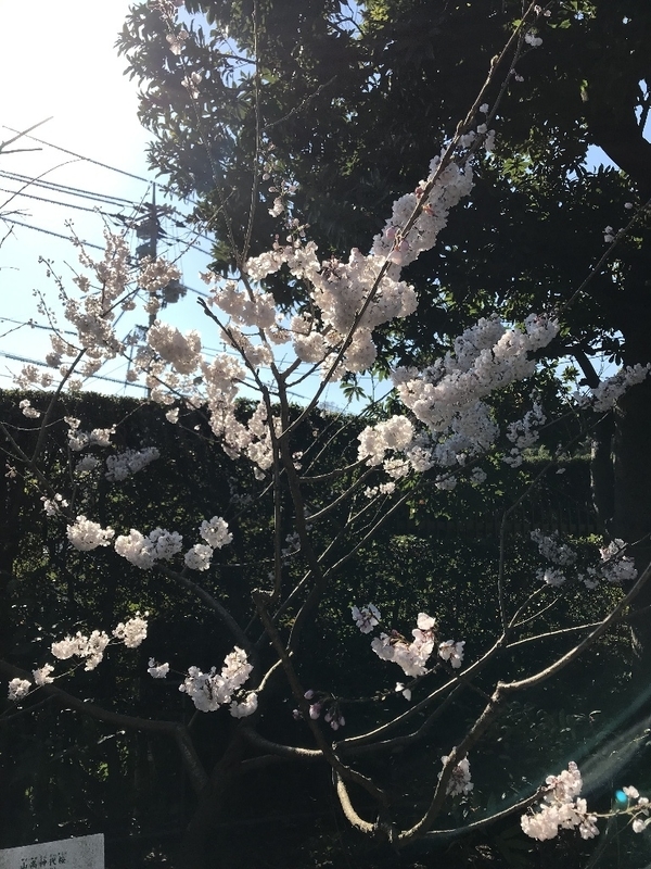イメージ 6