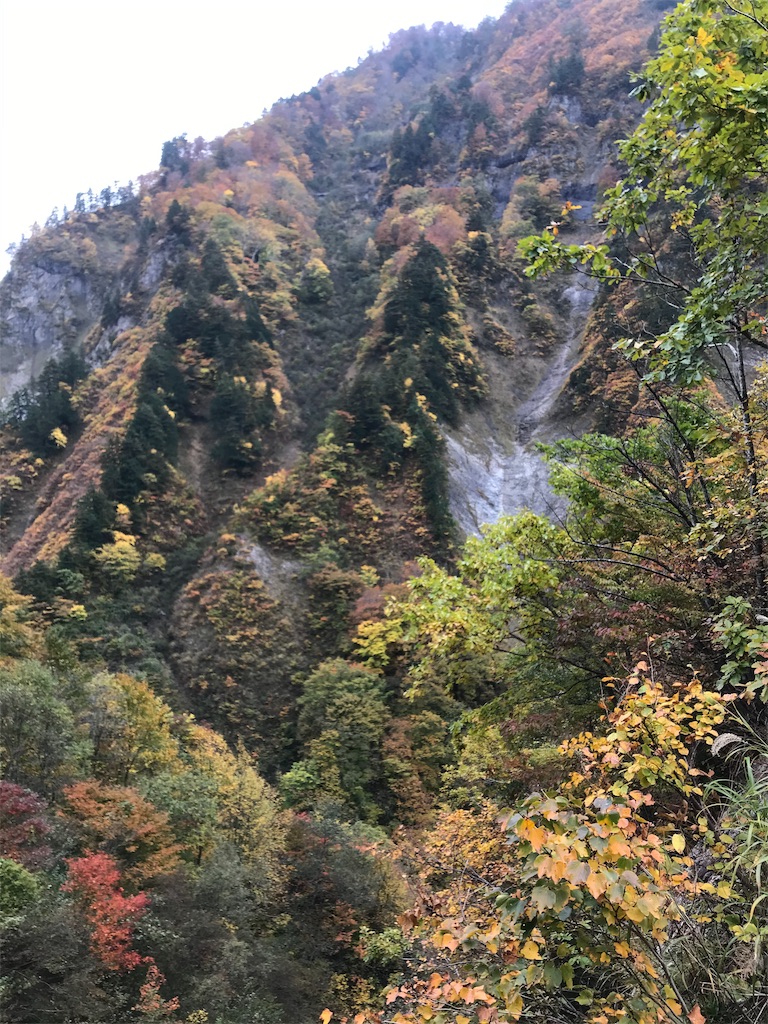 f:id:Mpapa:20191103180524j:image